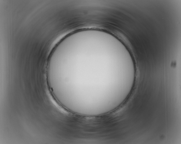 X0000112850847200908211029