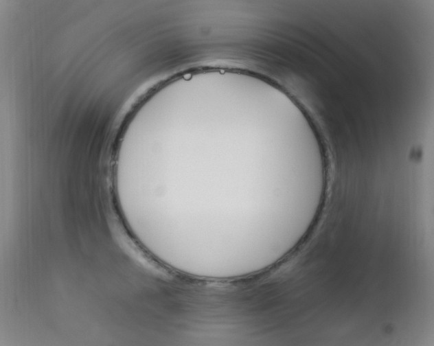 X0000112850848200908211029