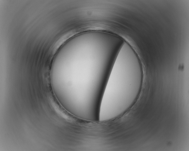X0000112850850200908211029