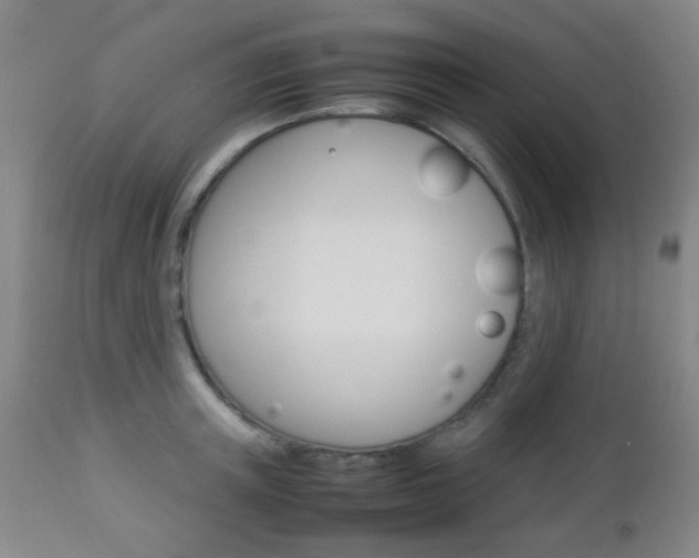 X0000112850851200908211029