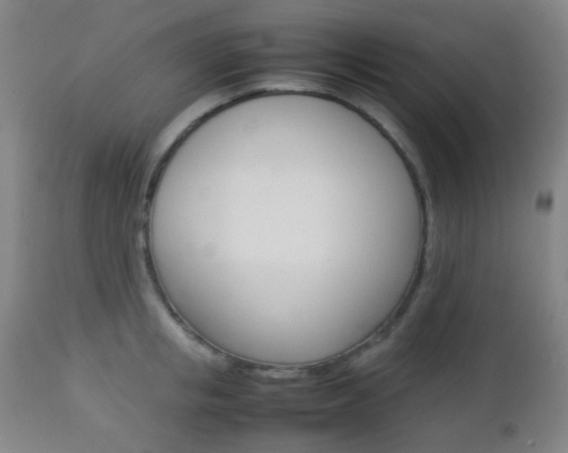 X0000112850853200908211029