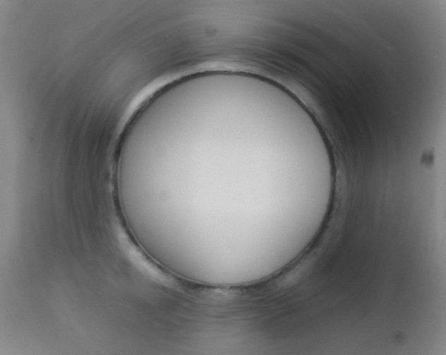 X0000112850854200908211029