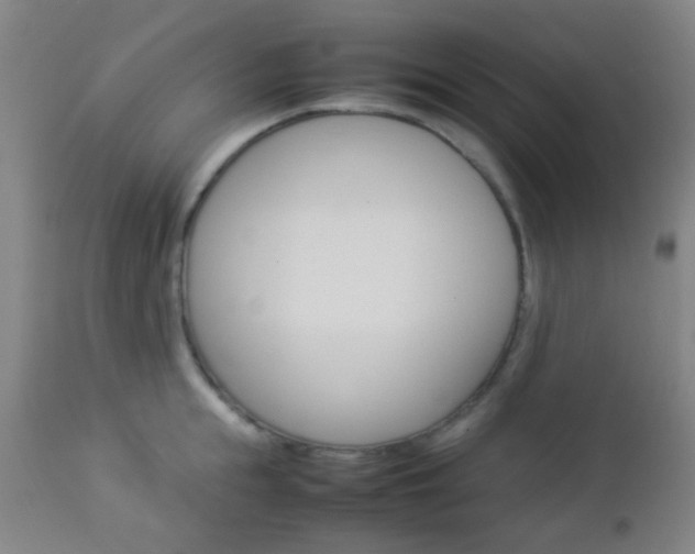 X0000112850855200908211029