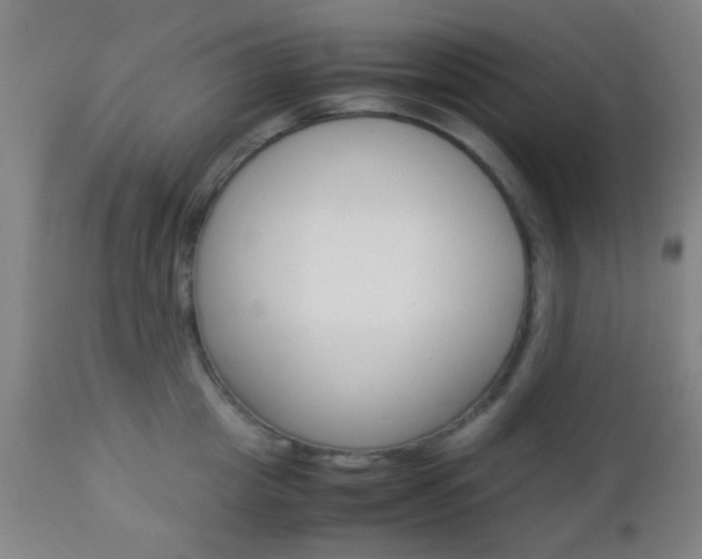 X0000112850857200908211029