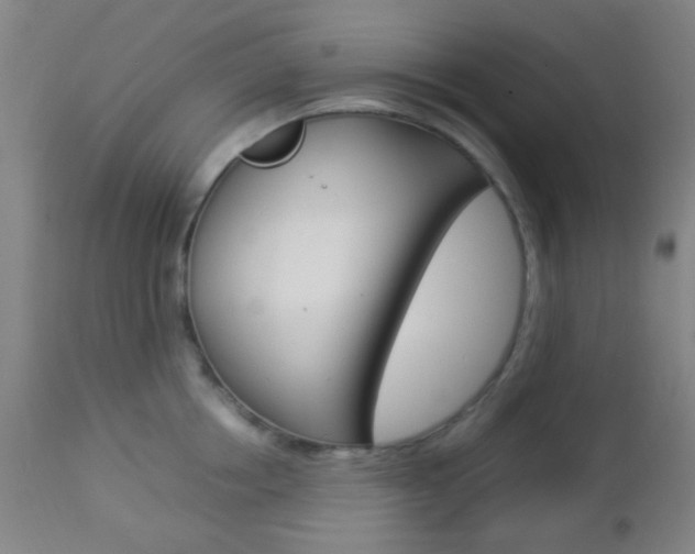 X0000112850858200908211029