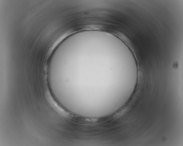 X0000112850859200908211029