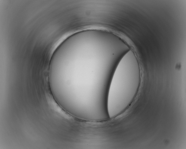 X0000112850860200908211029