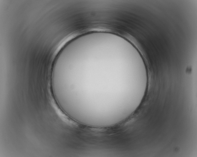 X0000112850861200908211029