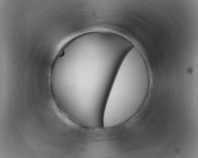 X0000112850862200908211029