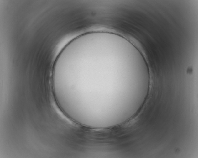 X0000112850863200908211029