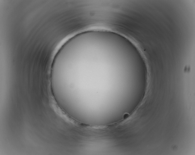 X0000112850864200908211029