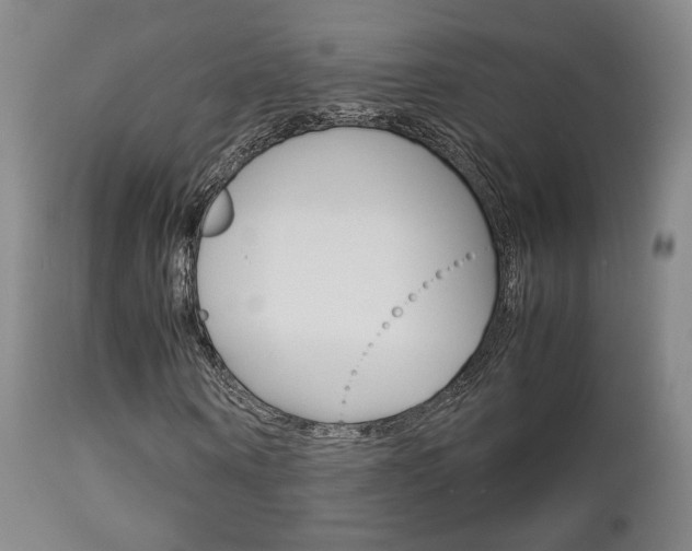 X0000112850866200908211028