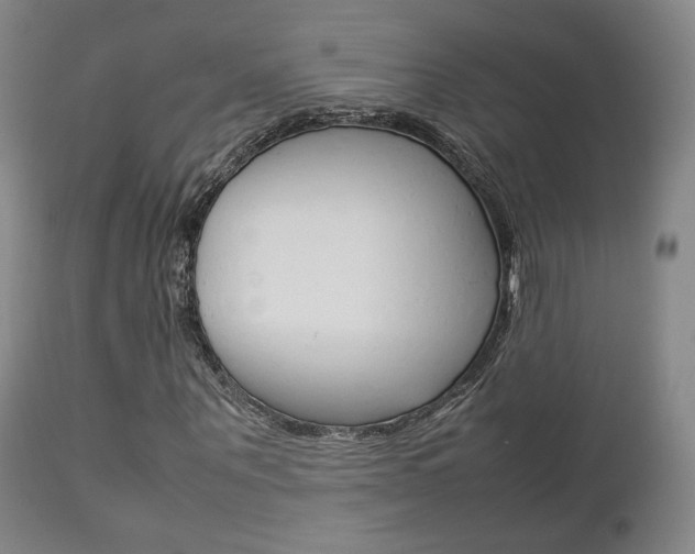 X0000112850867200908211028