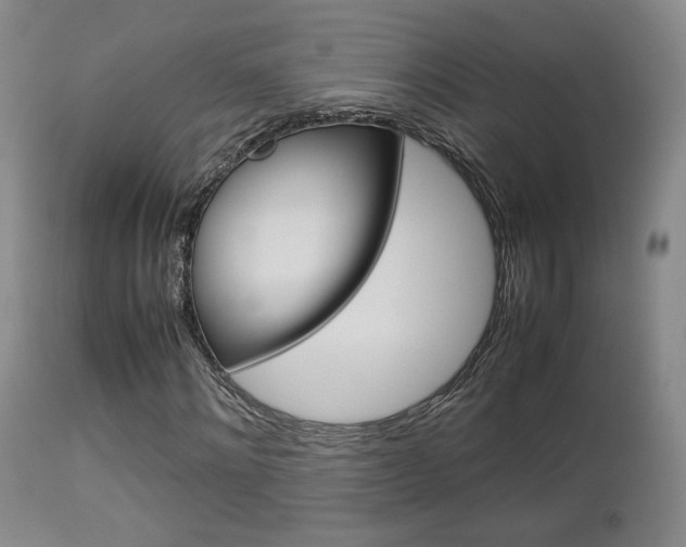 X0000112850868200908211028