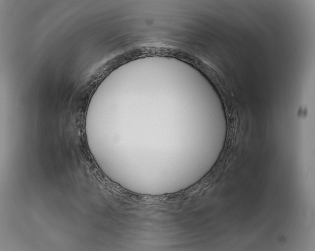 X0000112850870200908211028