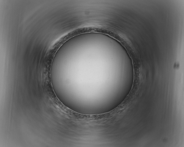 X0000112850872200908211028