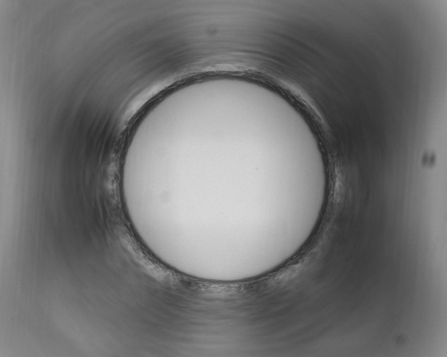 X0000112850874200908211028