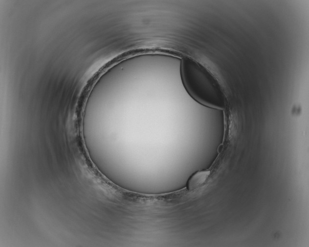 X0000112850876200908211028