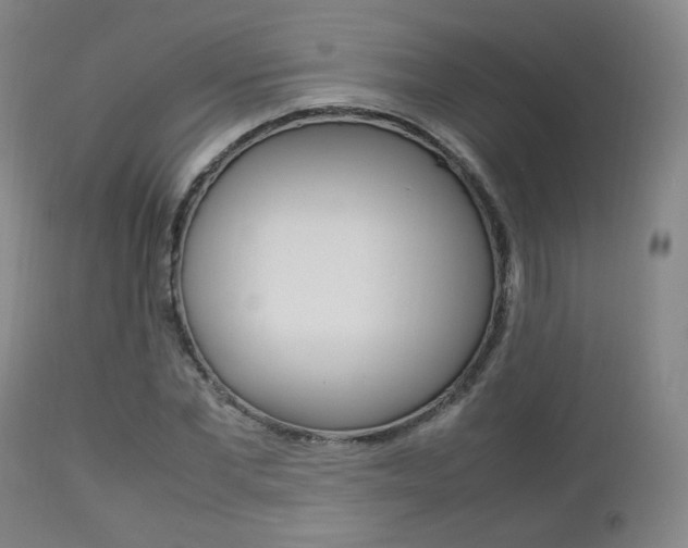 X0000112850877200908211028