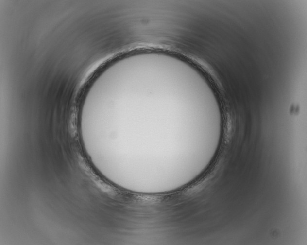 X0000112850878200908211028