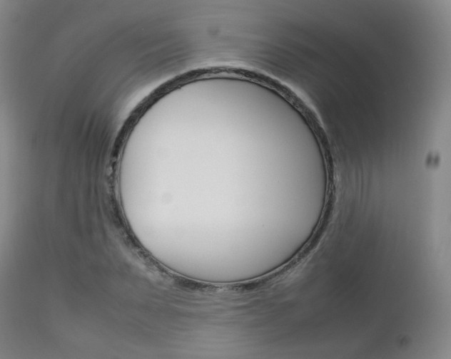 X0000112850879200908211028