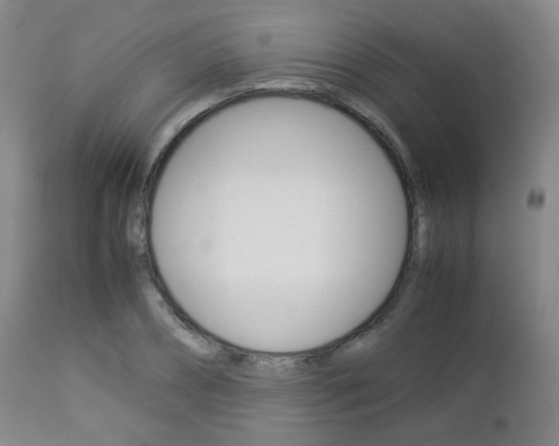 X0000112850882200908211028