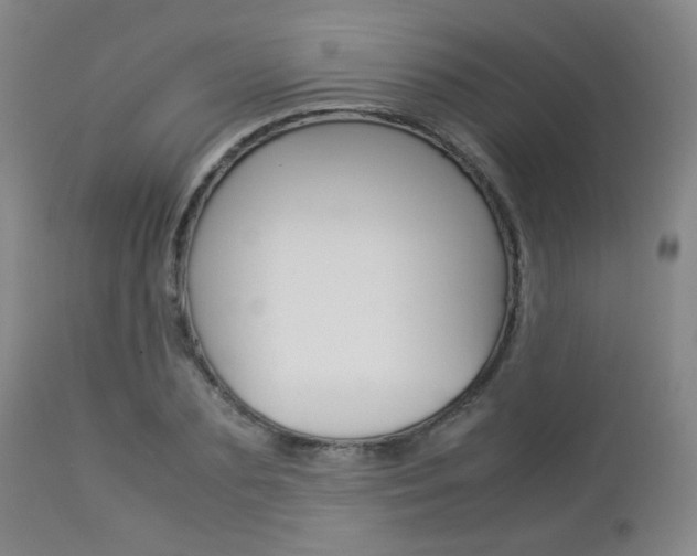 X0000112850883200908211028