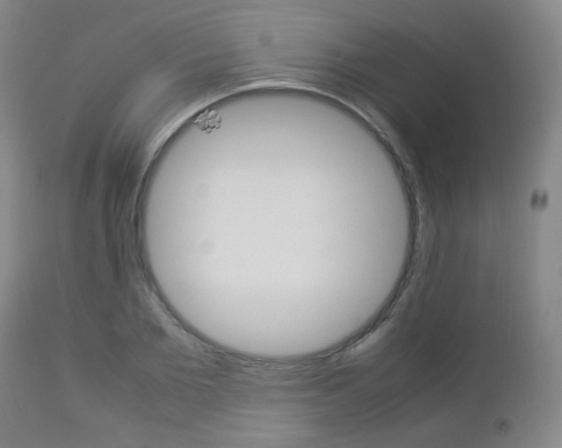 X0000112850885200908211028
