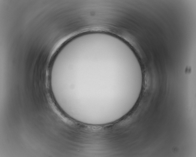 X0000112850886200908211028