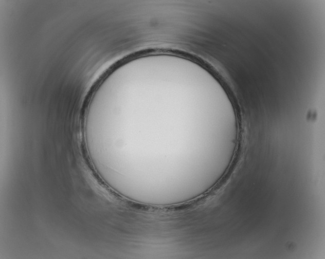 X0000112850887200908211028