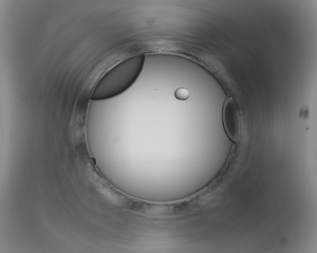 X0000112850889200908211028