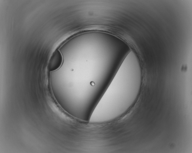 X0000112850892200908211028