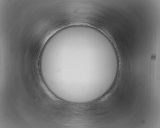 X0000112850893200908211028