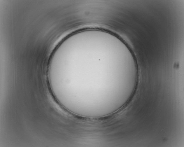 X0000112850895200908211028