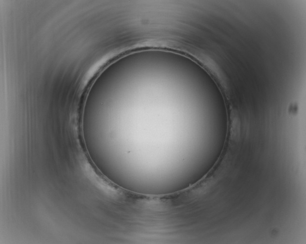 X0000112850896200908211028