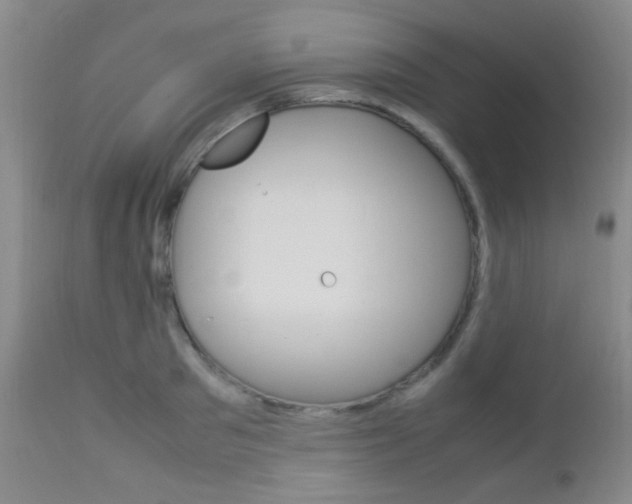 X0000112850897200908211028