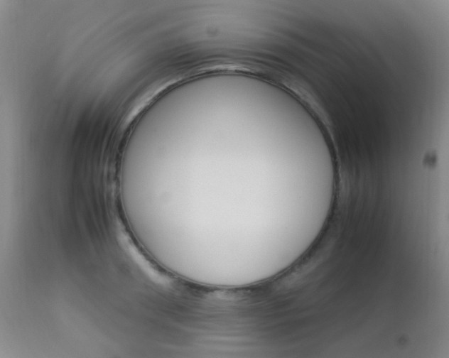 X0000112850898200908211028