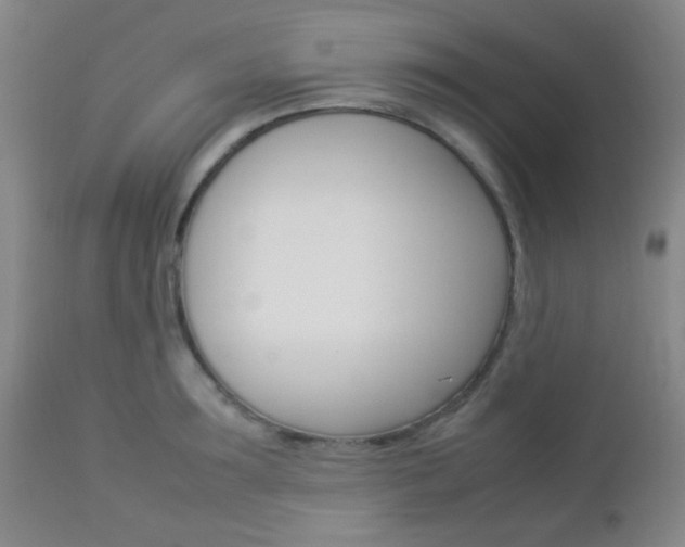 X0000112850899200908211028