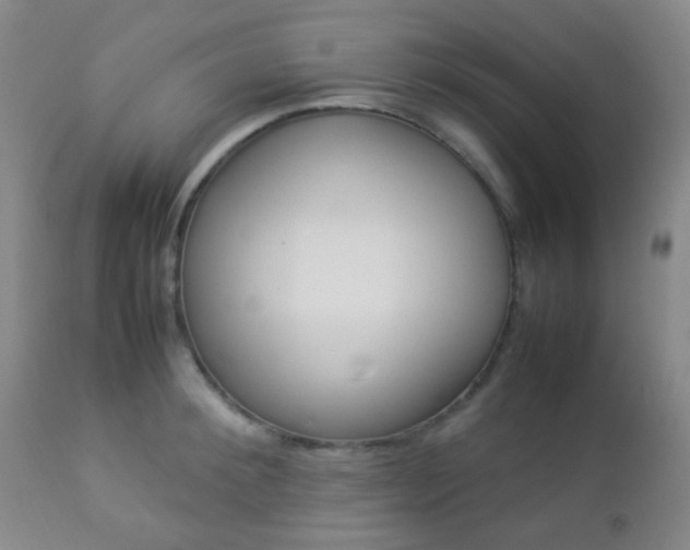 X0000112850900200908211028