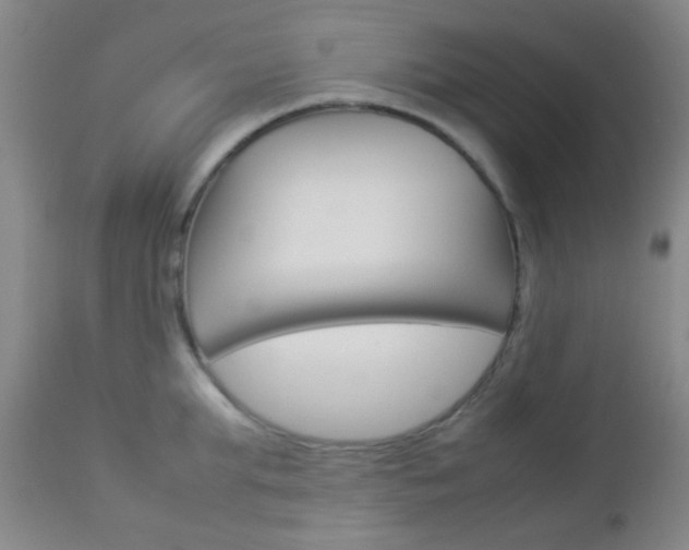 X0000112850903200908211028