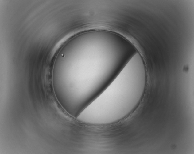 X0000112850904200908211028