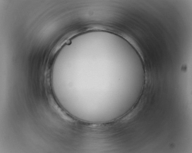 X0000112850906200908211028