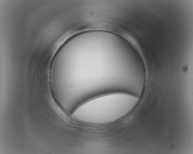 X0000112850907200908211028