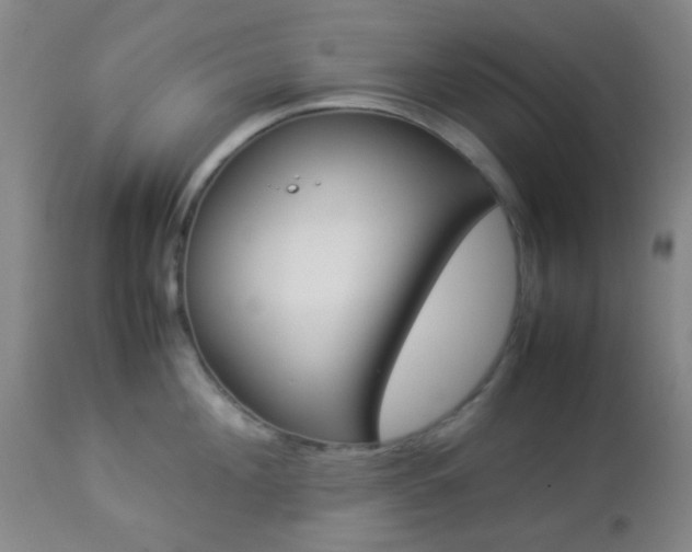 X0000112850908200908211028