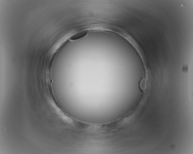X0000112850909200908211028