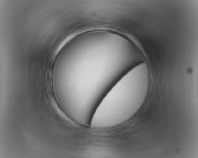 X0000112850911200908211028