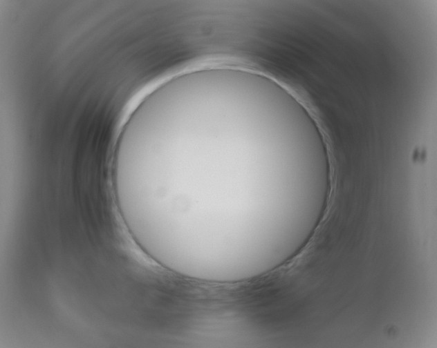 X0000112850912200908211027