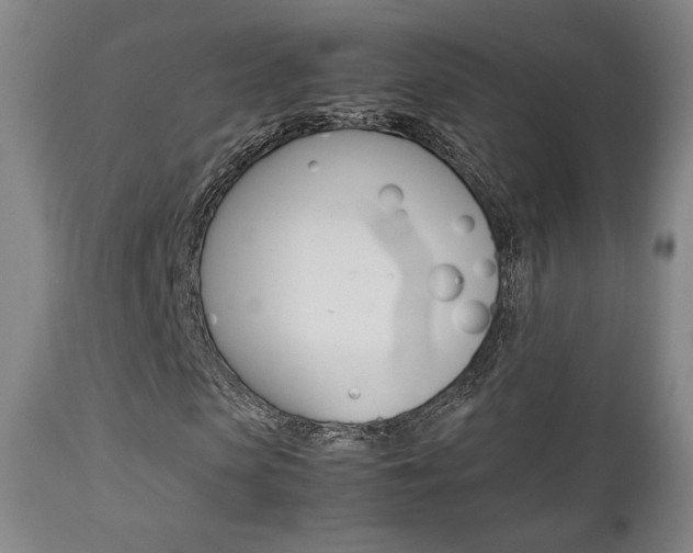 X0000112850913200908211027