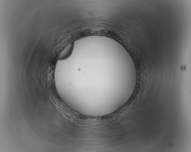 X0000112850914200908211027