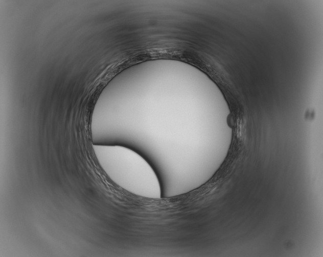 X0000112850915200908211027